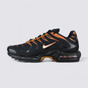 Nike Air Max Plus FN6949-400