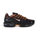 Nike Air Max Plus FN6949-400