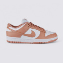 Nike Dunk Low DD1503-118